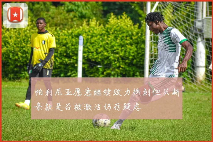 帕利尼亚愿意继续效力热刺但买断条款是否被激活仍存疑虑